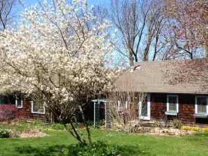 Inn at Fox Hill Farm