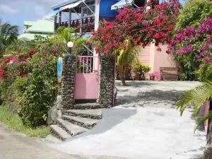 Bel Z 'Iguane