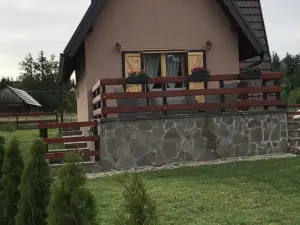 Mountain House Popović Tara
