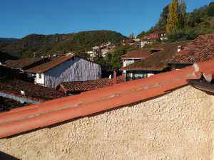 Apartamentos Raíces