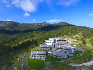 Grand Forest Metsovo - Small Luxury Hotels of the World