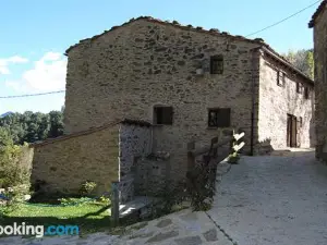 Apartaments Turistics Moli Can Coll