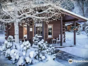 High Creek Lodge and Cabins