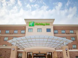 Holiday Inn Houston East-Channelview