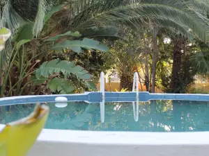 Garden Corner Guesthouse