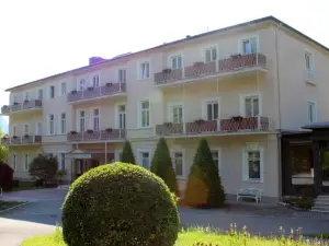 Hotel Alpina