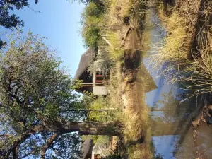 Pilanesberg Private Lodge