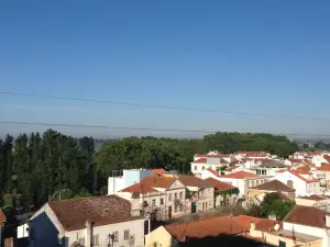 Soltejo