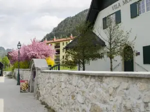 Vila Monet