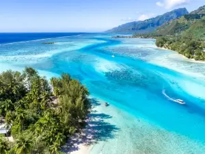 Robinson's Cove Villas - Deluxe Wallis Villa