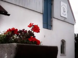 Bed & Breakfast Vinkille