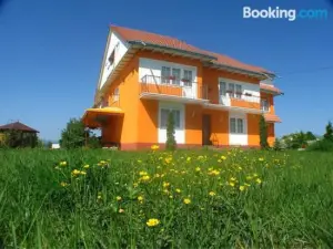 Vila Vlad