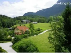 Bad Ischl Area Holiday Apartment