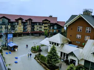 Stroll to Slopes, Village Area, Ski in-Out MtLodge 345