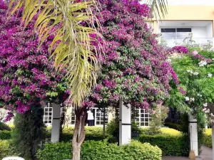 City Hotel Termal