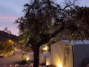 Little Petra Bedouin Camp