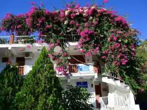 Akdeniz Hotel
