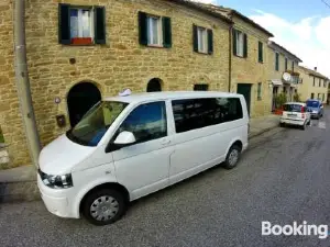 Il Gatto Sulla Finestra