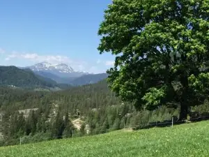 Løngdal