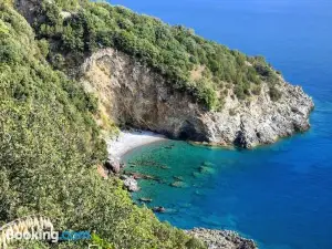 Kalimaka Bed & Breakfast