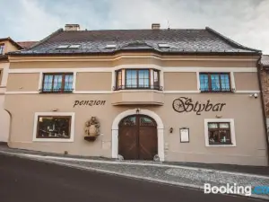 Penzion Stybar