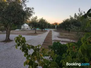 Oliveira Country House