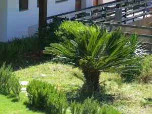 Centro di Turismo Equestre Shangrila'