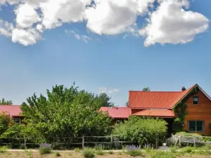 The Loubird Inn