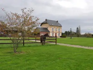 B&B Haras de la Cour Fleury