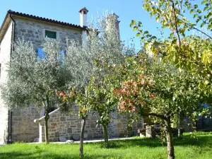 Apartments Villa San Vito