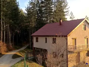 Apartments Popovic