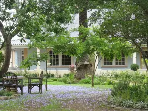 Fleur Bleue & the Timber Frame