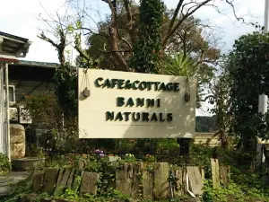 Cafe&Cottage Banni Naturals
