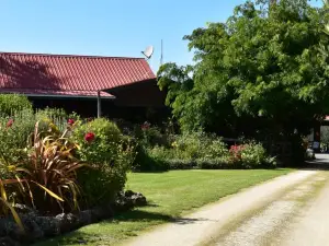 Olivista