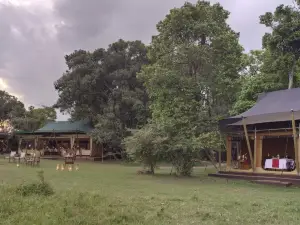 Elewana Elephant Pepper Camp