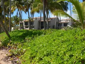 Crescent Cove 87 at Palmas