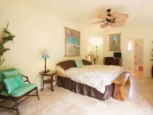 Hawian Style Luxury Oceanfront Single Family Home
