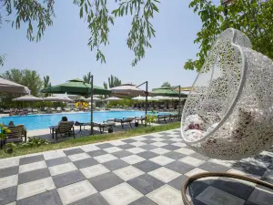 Cross Apartments and Tours