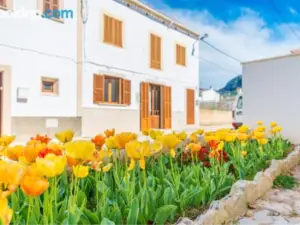 Vila Ca Shermano