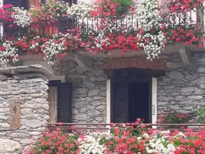 B&B Terra di Confine