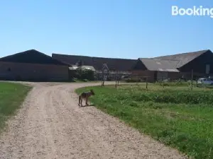 Ferienzimmervermietung Reitferien