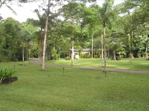 Daintree Siesta