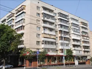 Kyiv Downtown Apartment on Saksaganskogo Street 87
