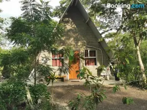 Happy Forest B&B
