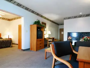 Texan Inn by OYO Beeville US-181