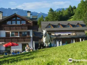 Hotel Gallo Cedrone