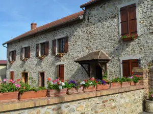 Chambres d'Hotes & Champagne Douard