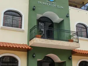 Hotel Palmeras de Elim