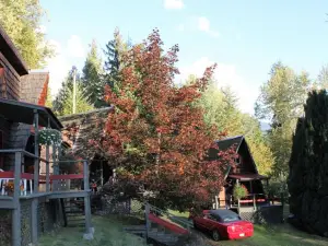 Sunny Bluffs Chalets