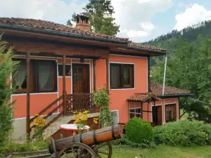 Mechta Guest House
